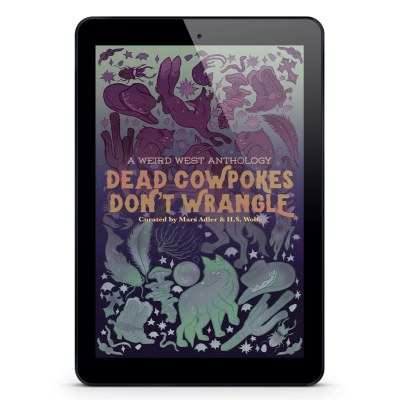 An eReader tablet featuring the book cover of Dead Cowpokes Don't Wrangle by Magnus Thorne